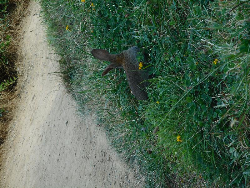 DSCN1781.JPG
