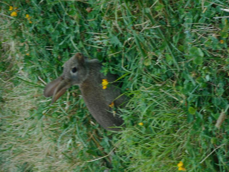 DSCN1782.JPG