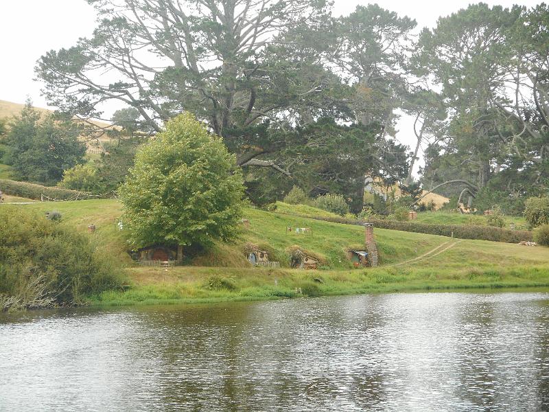 DSCN1800.JPG