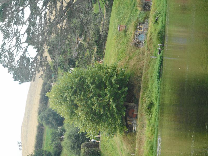 DSCN1805.JPG
