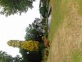 DSCN1706