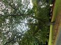DSCN1711