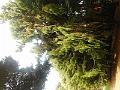 DSCN1728