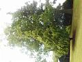 DSCN1735