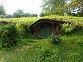DSCN1768