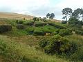 DSCN1776