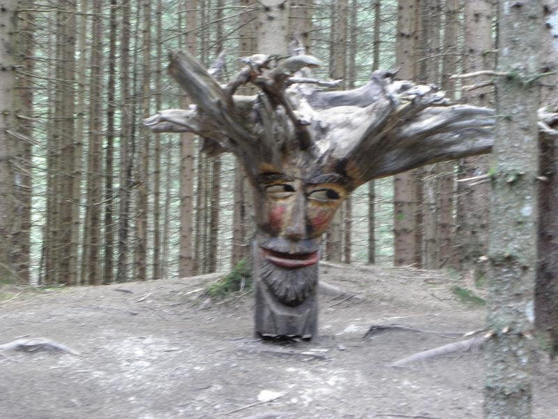PA100374.JPG