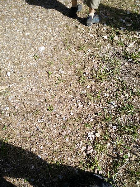IMG_20160511_100838.jpg