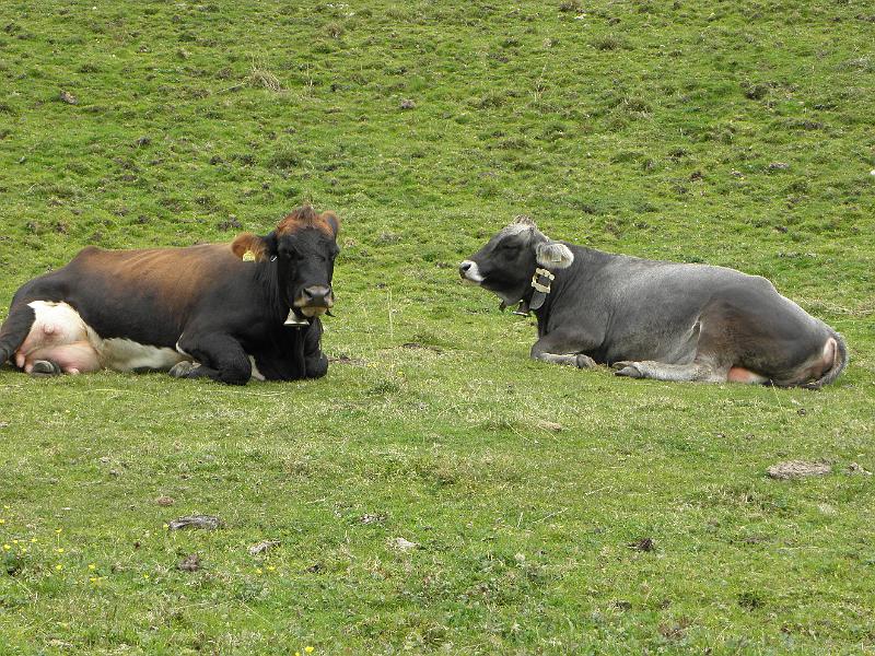 PA110398.JPG