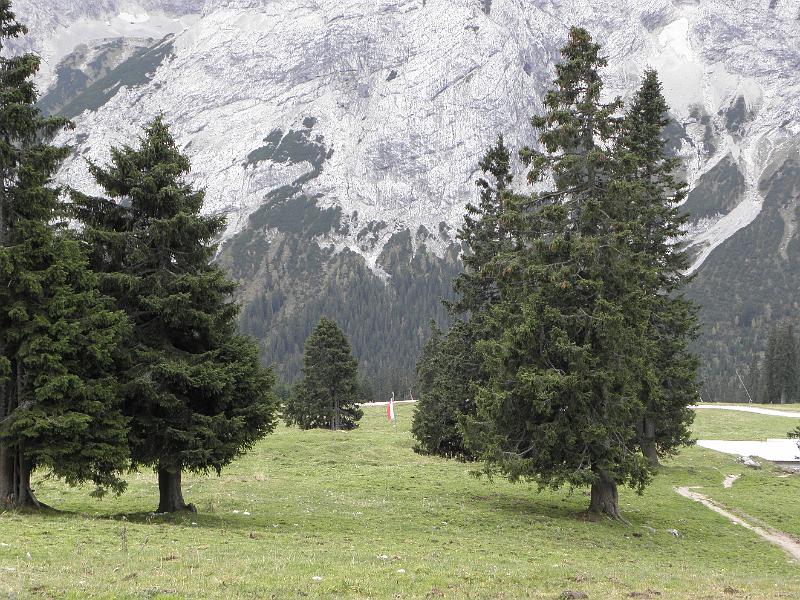 PA110402.JPG