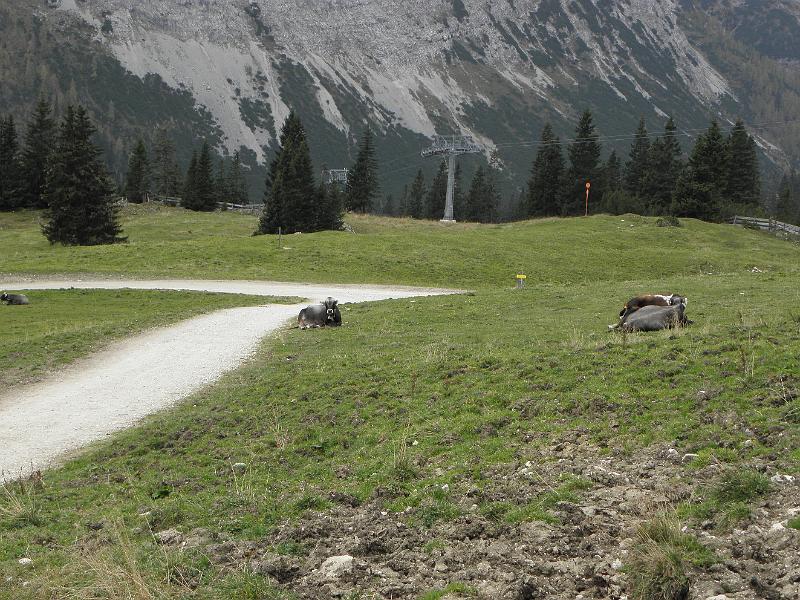 PA110404.JPG