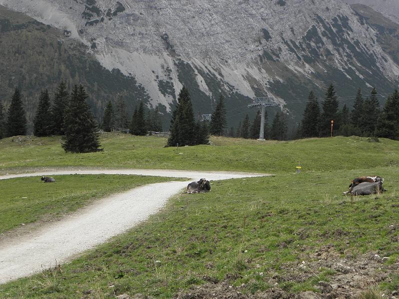 PA110405.JPG