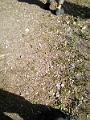 IMG_20160511_100837
