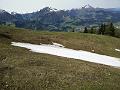IMG_20160511_110623