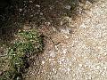 IMG_20160511_120141