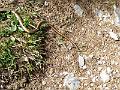 IMG_20160511_120146