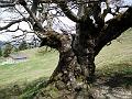 IMG_20160511_123118
