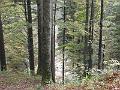 PA060048