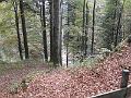 PA060049
