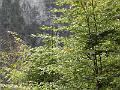 PA060080