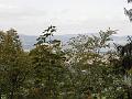 PA060088