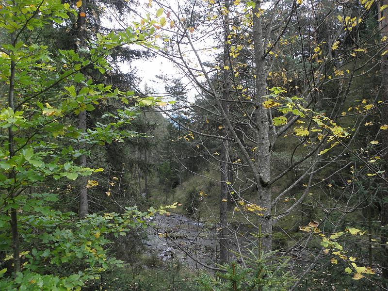 PA080282.JPG