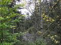 PA080282
