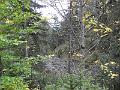 PA080284