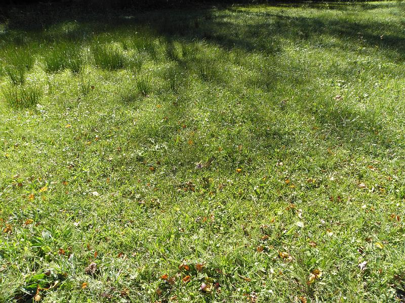 PA090317.JPG