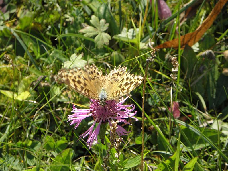PA090322.JPG