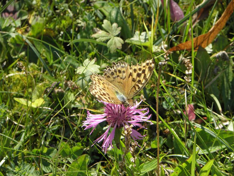 PA090324.JPG