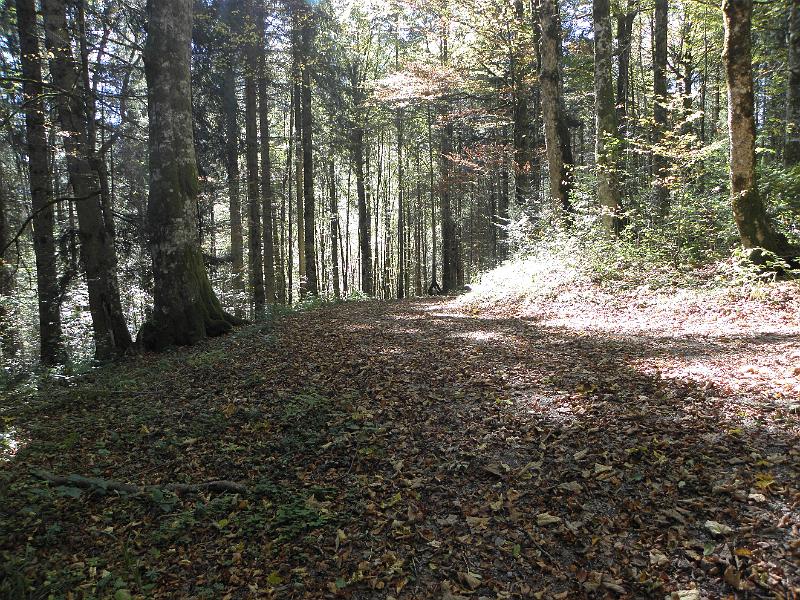 PA090333.JPG