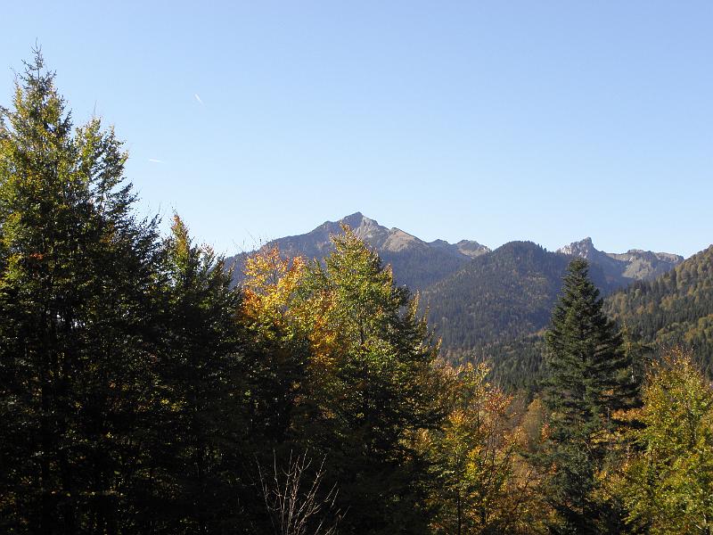 PA090341.JPG