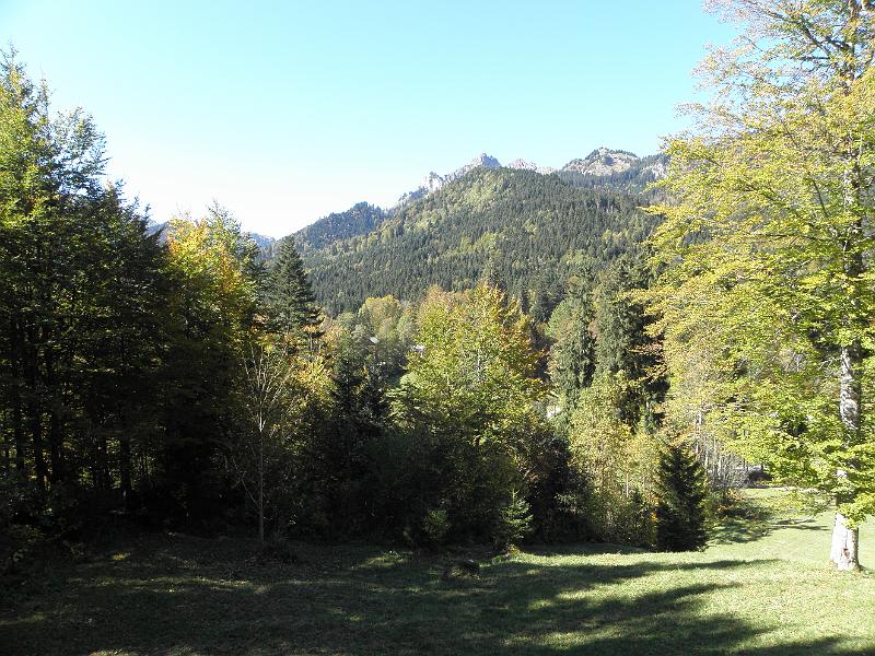 PA090343.JPG