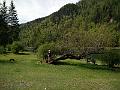 IMG_20160509_113249