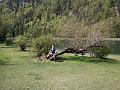 IMG_20160509_113258