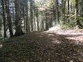 PA090333