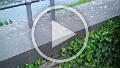 VID00524