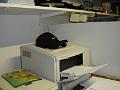DSC00064