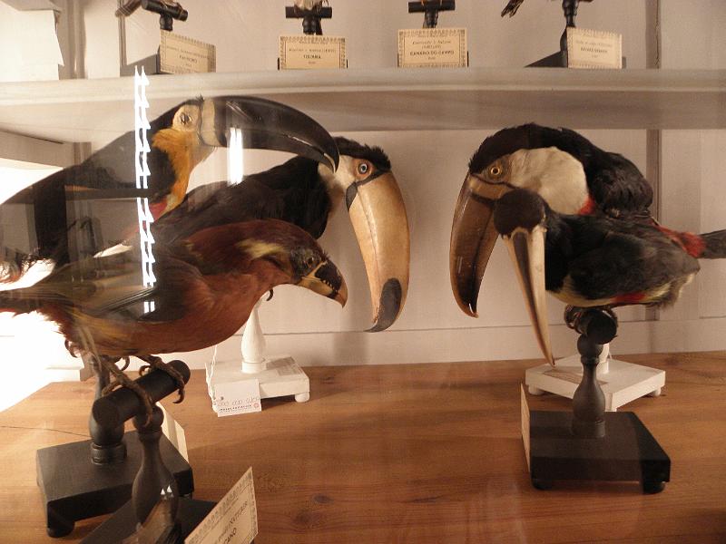 PA110428.JPG