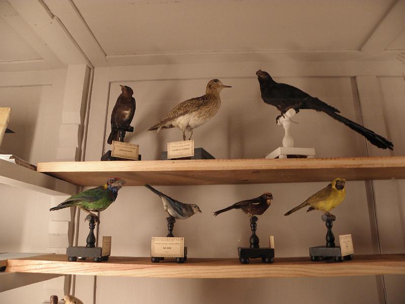 PA110429.JPG