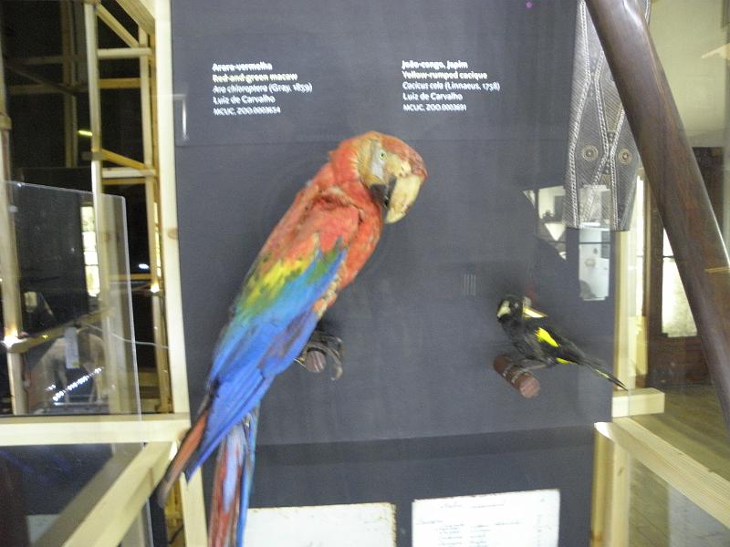 PA110433.JPG