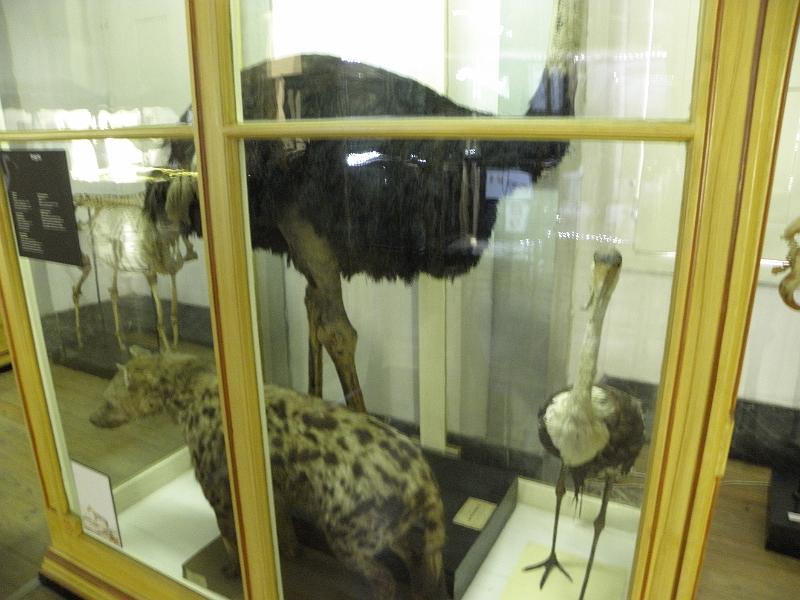 PA110434.JPG