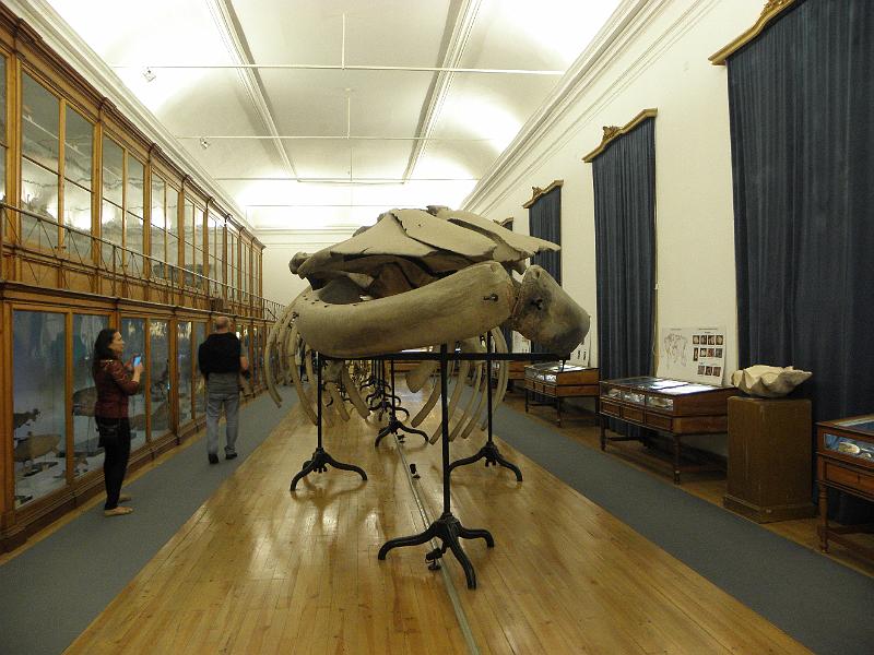 PA110435.JPG