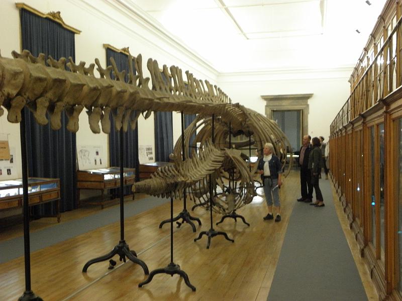 PA110438.JPG