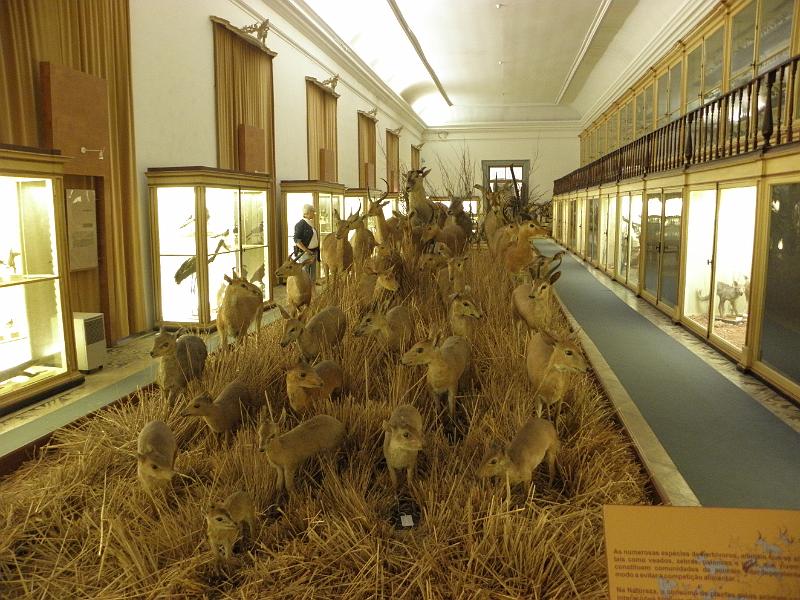 PA110439.JPG