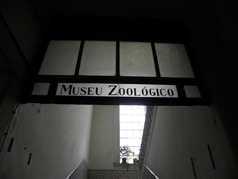 PA110448.JPG