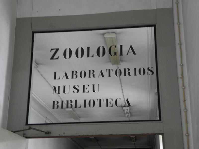 PA110449.JPG
