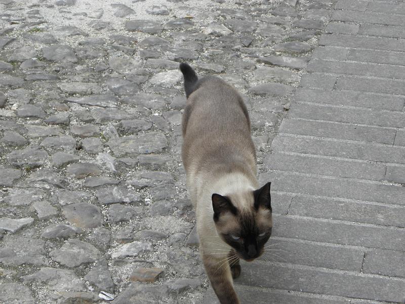 PA110459.JPG