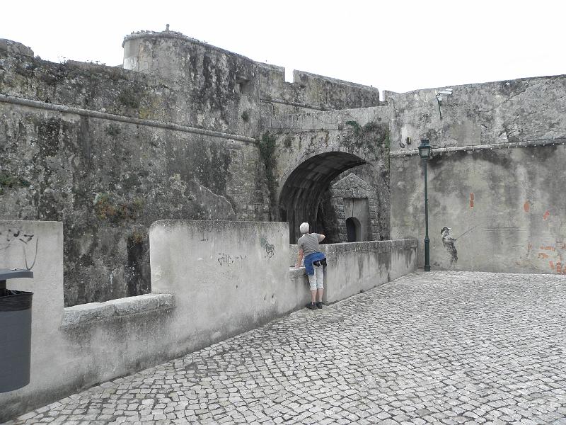 PA130474.JPG